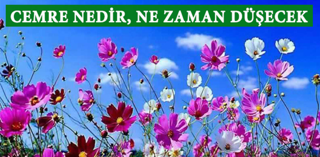 BAHAR NE ZAMAN BAŞLIYOR ?