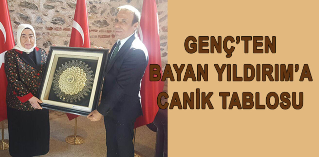 Genç'ten Bayan Yıldırım'a Canik tablosu