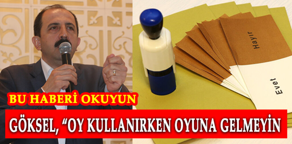 Göksel, 'Oyunuzu kullanırken oyuna gelmeyin'