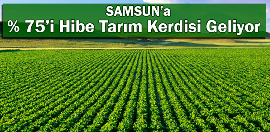 SAMSUN'A TARIM TEŞVİKİ GELİYOR