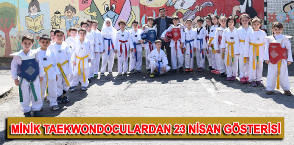 Minik Taekwondoculardan 23 Nisan Gösterisi