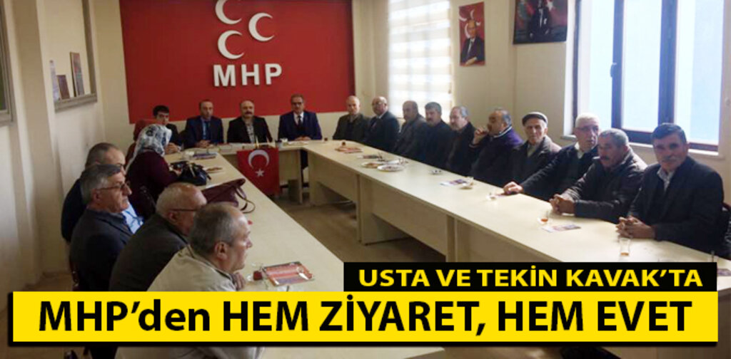 MHP'den , HEM ZİYARET, HEM EVET