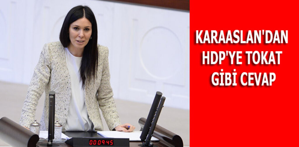 KARAASLAN'DAN HDP'YE TOKAT GİBİ CEVAP