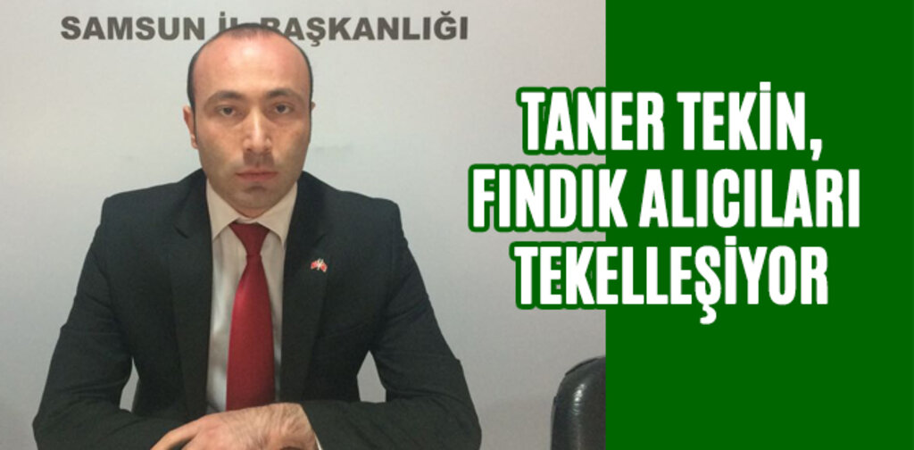 TEKİN, FINDIK ALICILARI TEKELLEŞİYOR