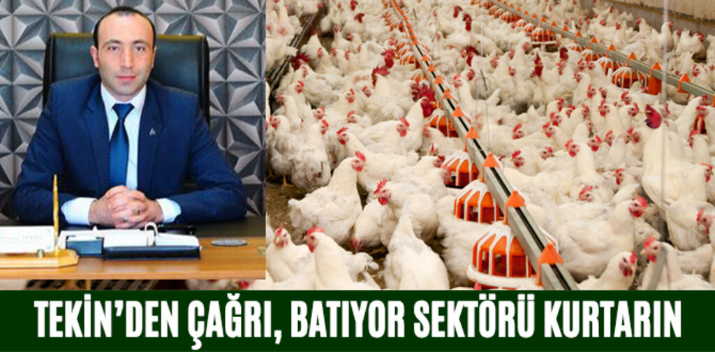 TEKİN'DEN ÇAĞRI, BATIYOR SEKTÖRÜ KURTARIN