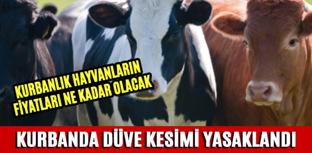 KURBANDA DÜVE KESİMİ YASAKLANDI