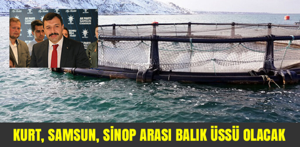 KURT, SAMSUN, SİNOP ARASI BALIK ÜSSÜ OLACAK