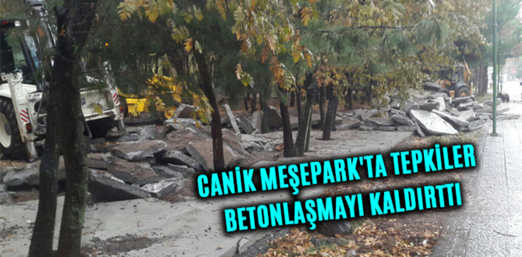 CANİK MEŞEPARK'TA TEPKİLER BETONLAŞMAYI KALDIRTTI