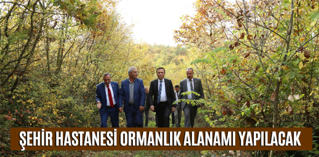 ŞEHİR HASTANESİ ORMANLIK ALANAMI YAPILACAK