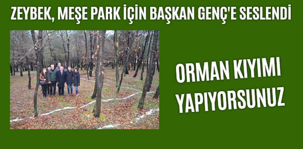 ZEYBEK, GENÇ'E SESLENDİ ORMAN KIYIMI YAPIYORSUNUZ