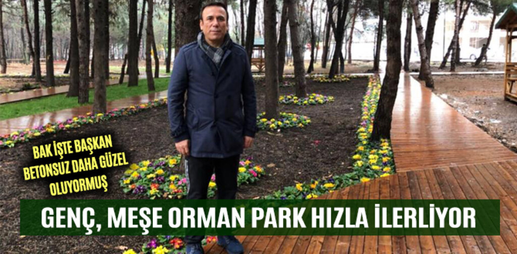 GENÇ, MEŞE ORMAN PARK HIZLA İLERLİYOR