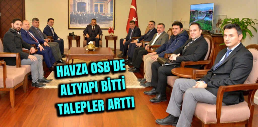 HAVZA OSB'DE ALTYAPI BİTTİ TALEPLER ARTTI