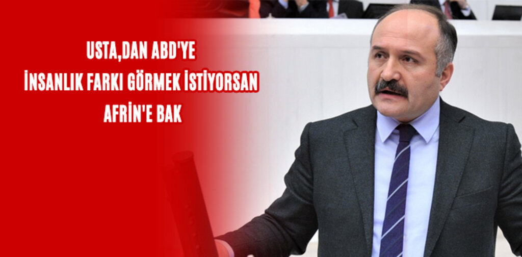 USTA,DAN ABD'YE İNSANLIK FARKI GÖRMEK İSTİYORSAN AFRİN'E BAK