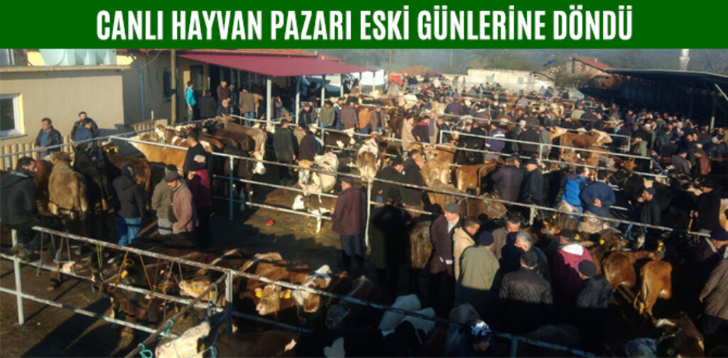 CANLI HAYVAN PAZARI ESKİ GÜNLERİNE DÖNDÜ