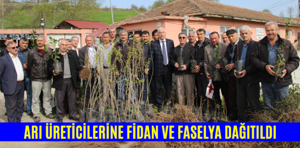 ARI ÜRETİCİLERİNE FİDAN VE FASELYA DAĞITILDI