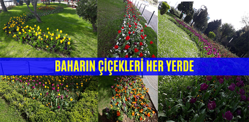 BAHARIN ÇİÇEKLERİ HER YERDE