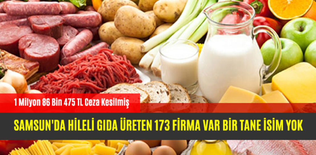 SAMSUN'DA HİLELİ GIDA ÜRETEN 173 FİRMA VAR BİR TANE İSİM YOK
