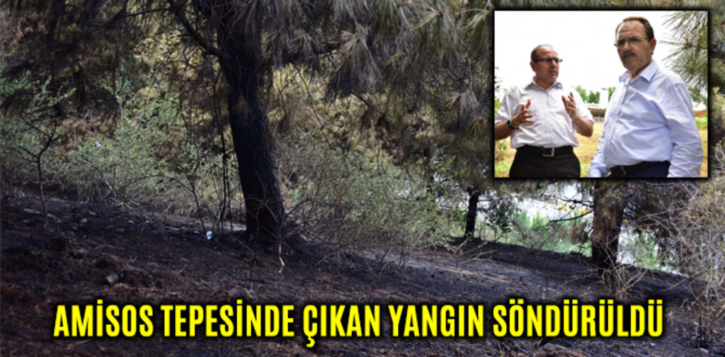 AMİSOS TEPESİNDE ÇIKAN YANGIN SÖNDÜRÜLDÜ