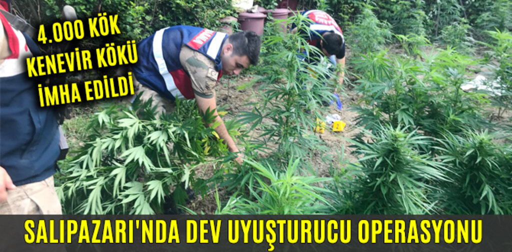 SALIPAZARI'NDA DEV UYUŞTURUCU OPERASYONU