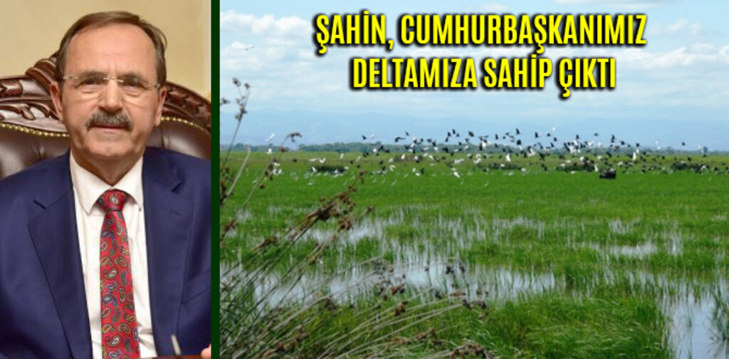 ŞAHİN, CUMHURBAŞKANIMIZ DELTAMIZA SAHİP ÇIKTI