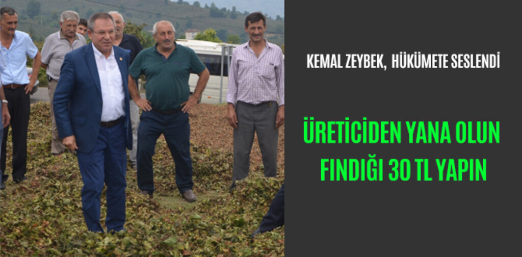 ZEYBEK, ÜRETİCİDEN YANA OLUN FINDIĞI 30 TL YAPIN