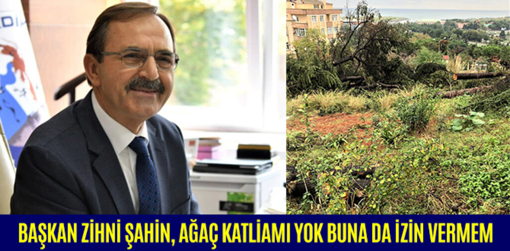 BAŞKAN ZİHNİ ŞAHİN, AĞAÇ KATLİAMI YOK BUNA DA İZİN VERMEM