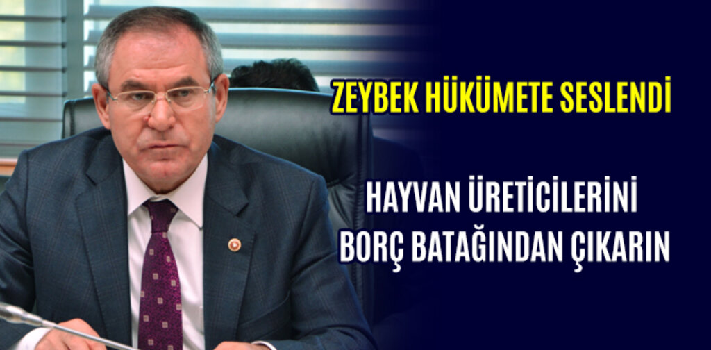ZEYBEK HÜKÜMETE SESLENDİ HAYVAN ÜRETİCİLERİNİ BORÇ BATAĞINDAN ÇIKARIN