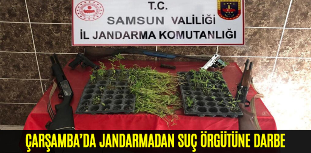 ÇARŞAMBA’DA JANDARMADAN SUÇ ÖRGÜTÜNE DARBE
