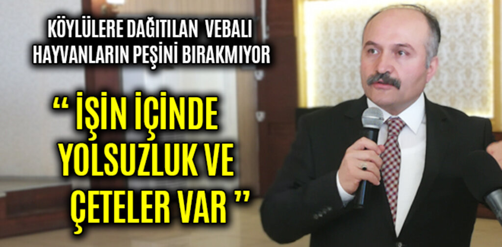 KÖYLÜLERE DAĞITILAN VEBALI HAYVANLARIN PEŞİNİ BIRAKMIYOR