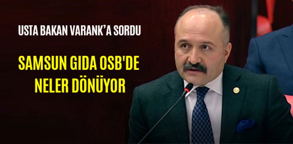 SAMSUN GIDA OSB'DE NELER DÖNÜYOR