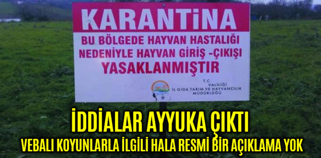 İDDİALAR AYYUKA ÇIKTI VEBALI KOYUNLARLA İLGİLİ HALA RESMİ BİR AÇIKLAMA YOK