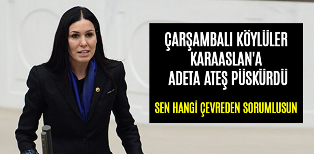 ÇARŞAMBALI KÖYLÜLER KARAASLAN'A ADETA ATEŞ PÜSKÜRDÜ