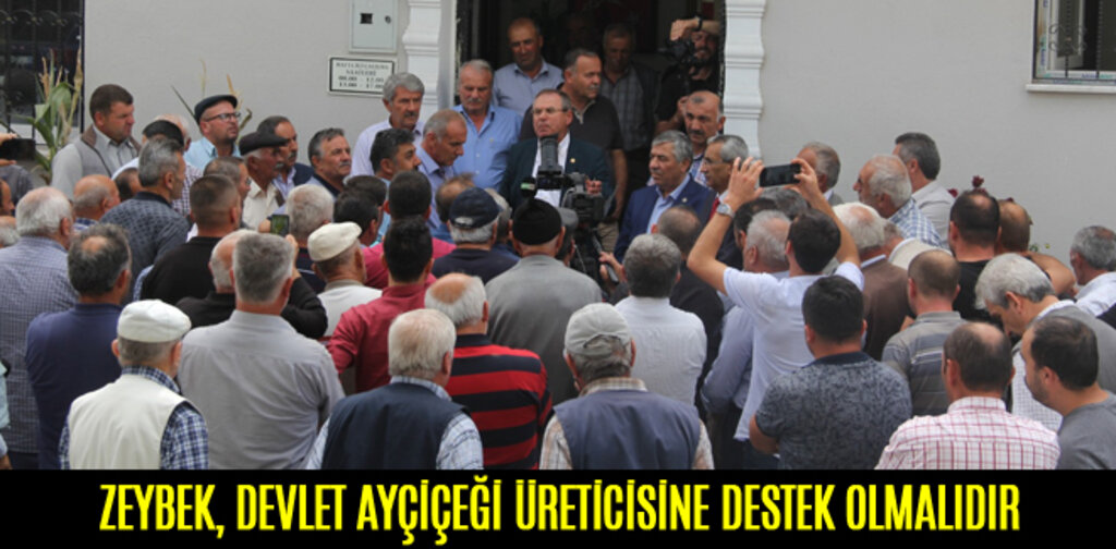 ZEYBEK, DEVLET AYÇİÇEĞİ ÜRETİCİSİNE DESTEK OLMALIDIR