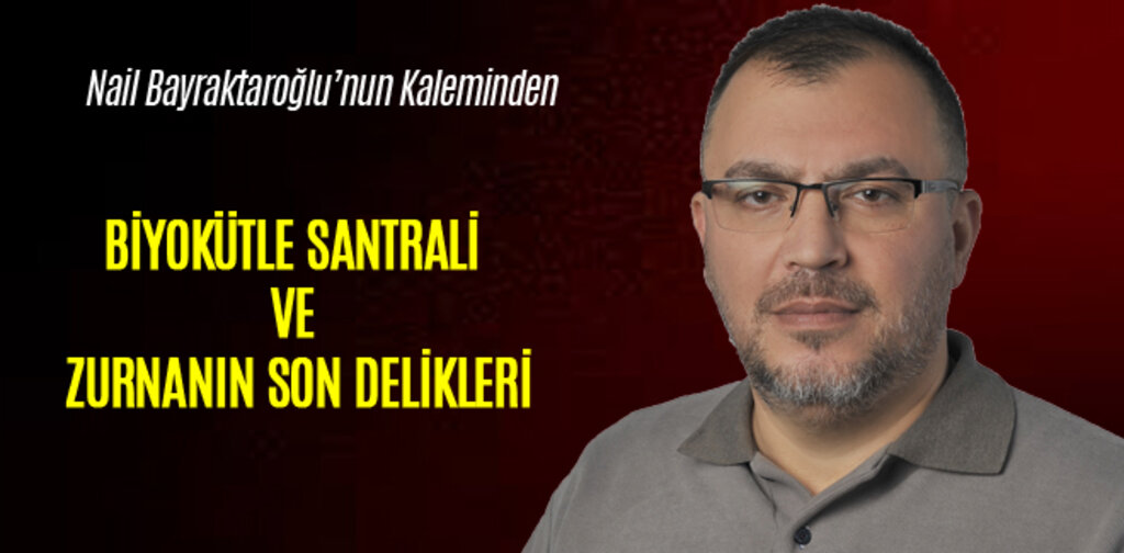 BİYOKÜTLE SANTRALİ VE ZURNANIN SON DELİKLERİ