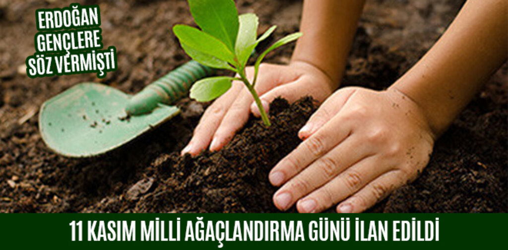 11 KASIM MİLLİ AĞAÇLANDIRMA GÜNÜ İLAN EDİLDİ