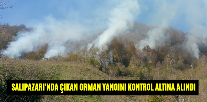 SALIPAZARI'NDA ÇIKAN ORMAN YANGINI KONTROL ALTINA ALINDI