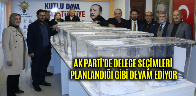 AK PARTİ'DE DELEGE SEÇİMLERİ PLANLANDIĞI GİBİ DEVAM EDİYOR
