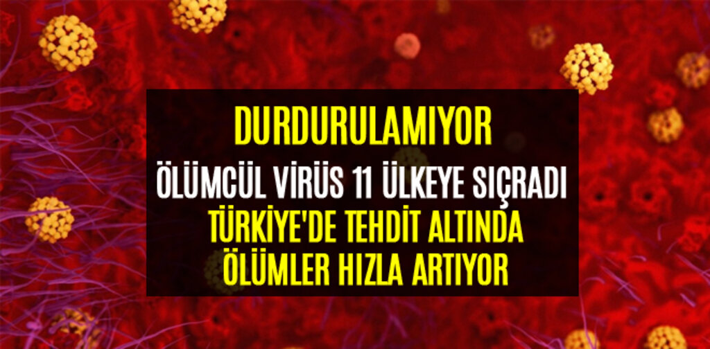 ÖLÜMCÜL VİRÜS 11 ÜLKEYE SIÇRADI TÜRKİYE'DE TEHDİT ALTINDA