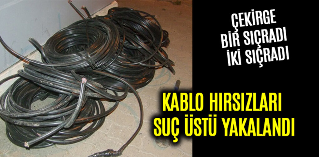 SAMSUN'DA KABLO HIRSIZLARI SUÇ ÜSTÜ YAKALANDI