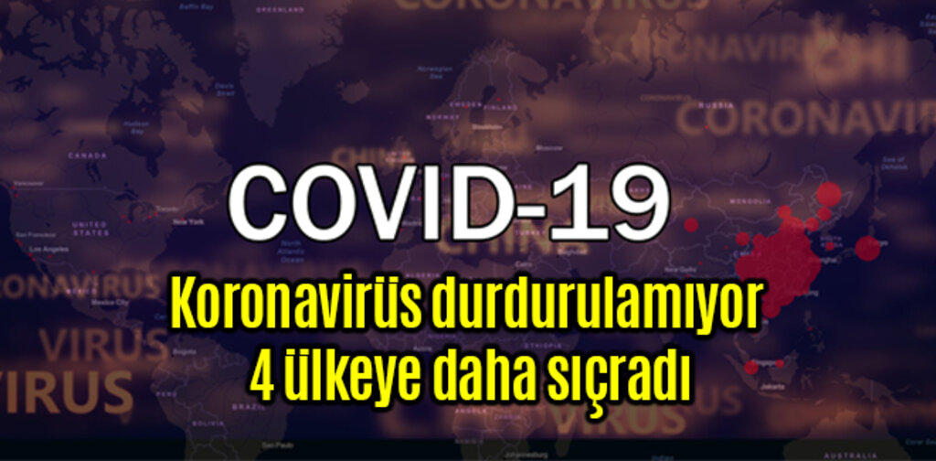 Koronavirüs durdurulamıyor 4 ülkeye daha sıçradı