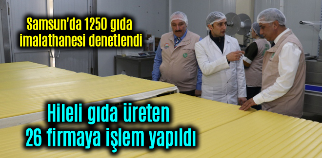 Samsun'da hileli gıda üreten 26 firmaya işlem yapıldı