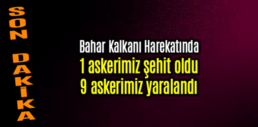Bahar Kalkanı Harekatında 1 askerimiz şehit oldu