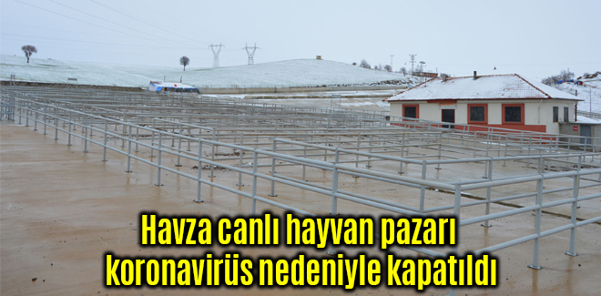 Havza canlı hayvan pazarı koronavirüs nedeniyle kapatıldı