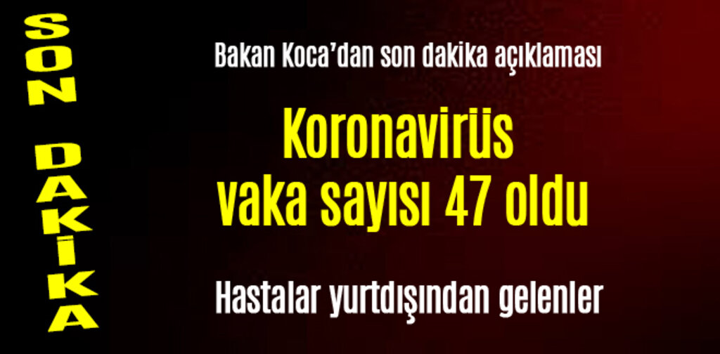 Koronavirüs vaka sayısı 47 oldu