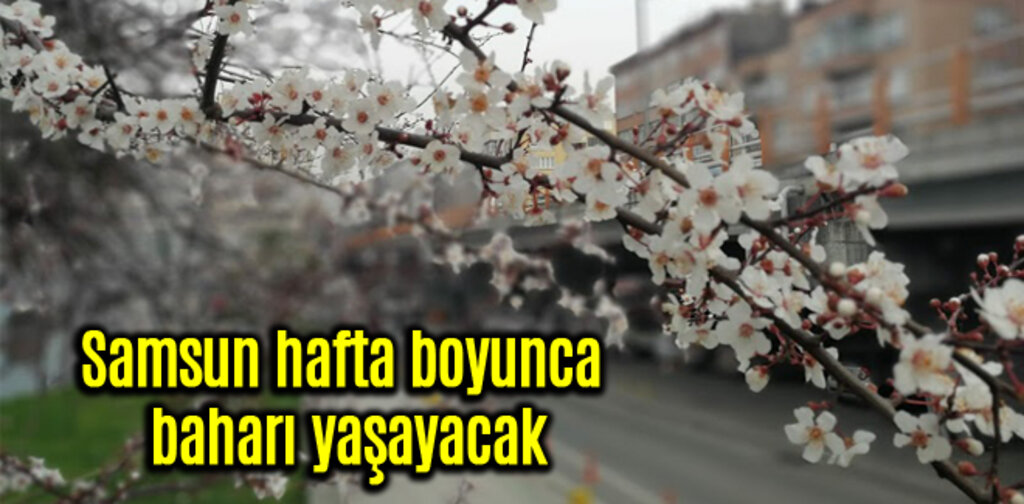 Samsun hafta boyunca baharı yaşayacak