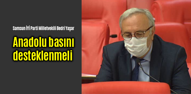 Anadolu basını desteklenmeli