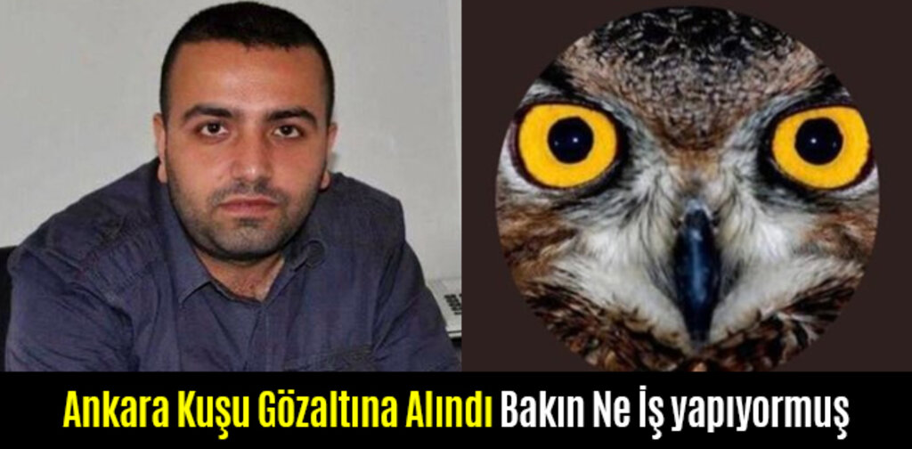 Ankara Kuşu Gözaltına Alındı Bakın Ne İş Yapıyormuş