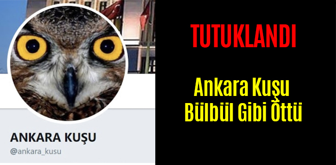 Ankara Kuşu Bülbül Gibi Öttü