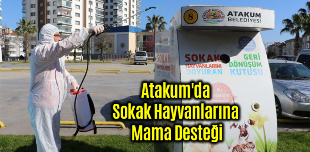 Atakum'da Sokak Hayvanlarına Mama Desteği