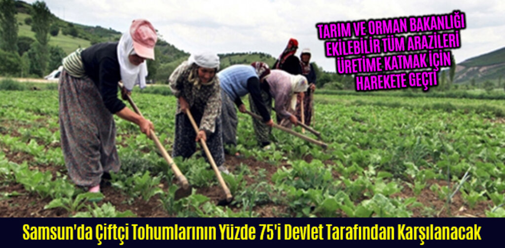Samsun'da Çiftçi Tohumlarının Yüzde 75'i Devlet Tarafından Karşılanacak